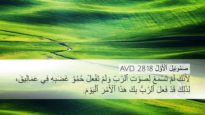 صَمُوئِيلَ ٱلْأَوَّلُ 28:18 AVD Desktop Wallpaper - لِأَنَّكَ لَمْ تَسْمَعْ - Desktop Bible Verse Wallpaper