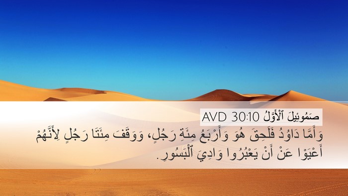 صَمُوئِيلَ ٱلْأَوَّلُ 30:10 AVD Desktop Wallpaper - وَأَمَّا دَاوُدُ فَلَحِقَ - Desktop Bible Verse Wallpaper