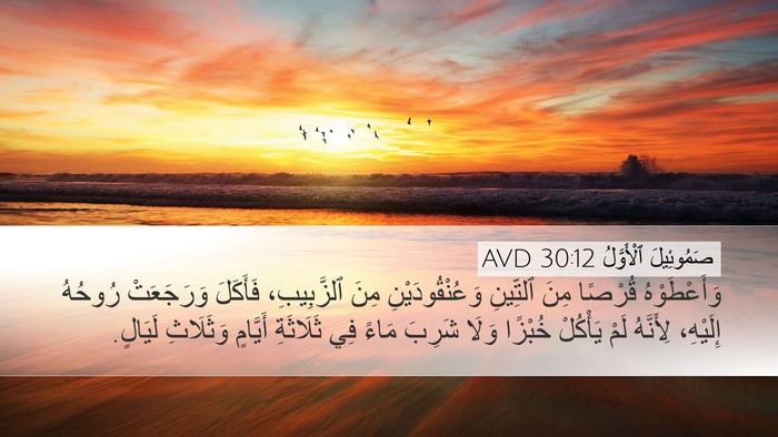 صَمُوئِيلَ ٱلْأَوَّلُ 30:12 AVD Bible Verse Image