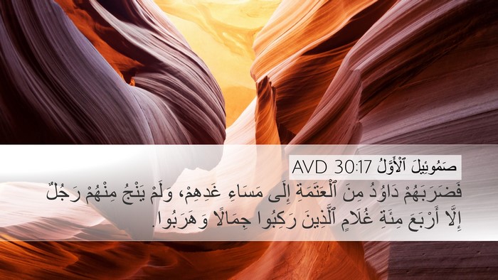 صَمُوئِيلَ ٱلْأَوَّلُ 30:17 AVD Bible Verse Image