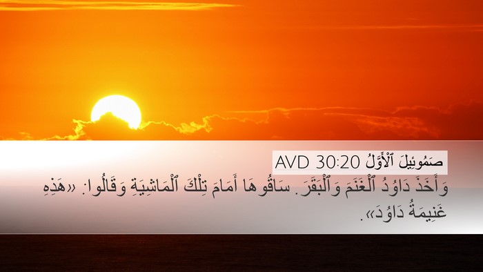 صَمُوئِيلَ ٱلْأَوَّلُ 30:20 AVD Bible Verse Image