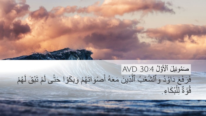 صَمُوئِيلَ ٱلْأَوَّلُ 30:4 AVD Desktop Wallpaper - فَرَفَعَ دَاوُدُ - Desktop Bible Verse Wallpaper
