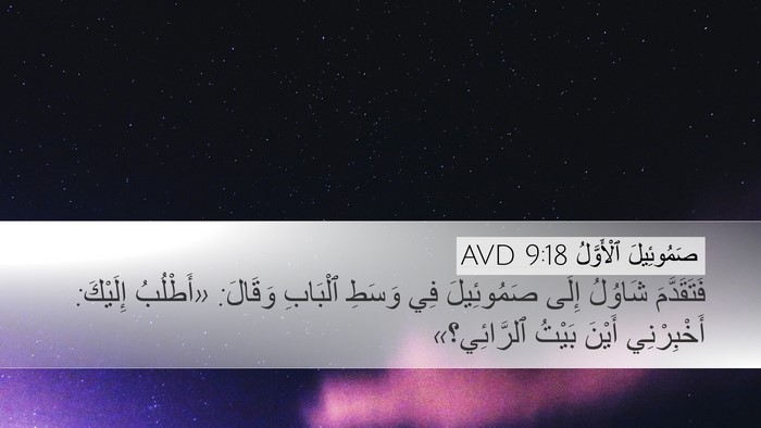صَمُوئِيلَ ٱلْأَوَّلُ 9:18 AVD Desktop Wallpaper - فَتَقَدَّمَ شَاوُلُ إِلَى - Desktop Bible Verse Wallpaper