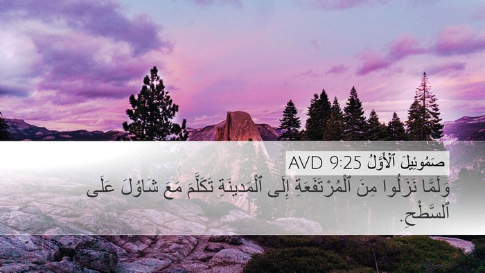 صَمُوئِيلَ ٱلْأَوَّلُ 9:25 AVD Desktop Wallpaper - وَلَمَّا نَزَلُوا مِنَ - Desktop Bible Verse Wallpaper