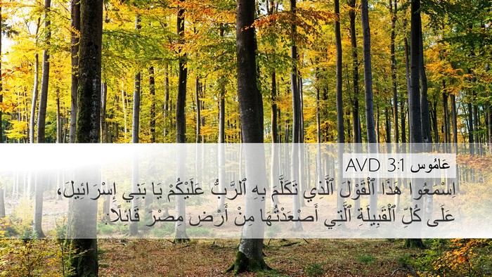 عَامُوس 3:1 AVD Bible Verse Image