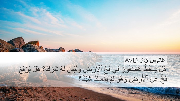 عَامُوس 3:5 AVD Bible Verse Image