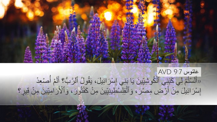 عَامُوس 9:7 AVD Bible Verse Image