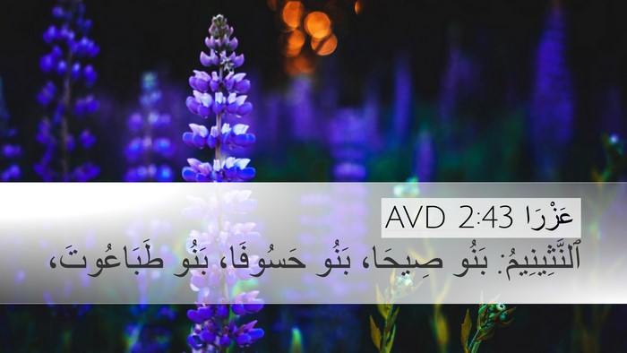 عَزْرَا 2:43 AVD Bible Verse Image