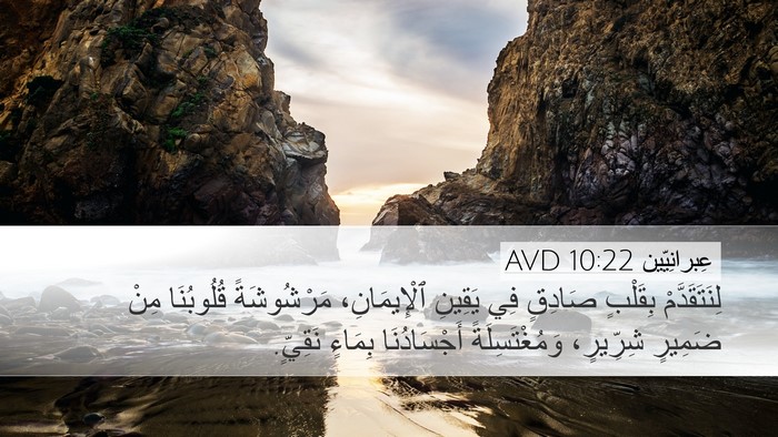 عِبرانِيّين 10:22 AVD Bible Verse Image