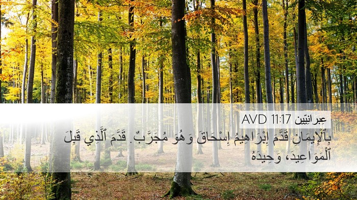 عِبرانِيّين 11:17 AVD Bible Verse Image