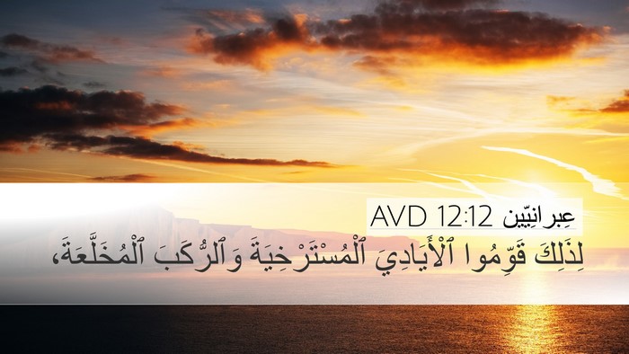 عِبرانِيّين 12:12 AVD Bible Verse Image