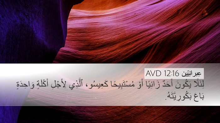 عِبرانِيّين 12:16 AVD Bible Verse Image