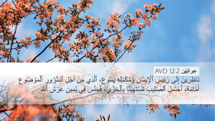 عِبرانِيّين 12:2 AVD Bible Verse Image