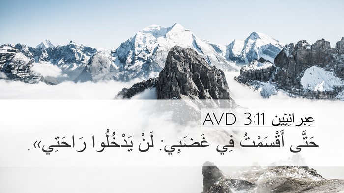 عِبرانِيّين 3:11 AVD Bible Verse Image