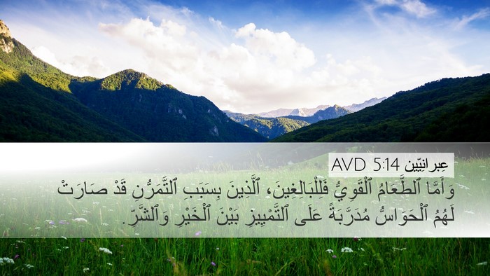 عِبرانِيّين 5:14 AVD Bible Verse Image
