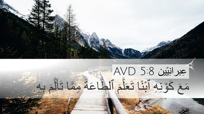 عِبرانِيّين 5:8 AVD Bible Verse Image