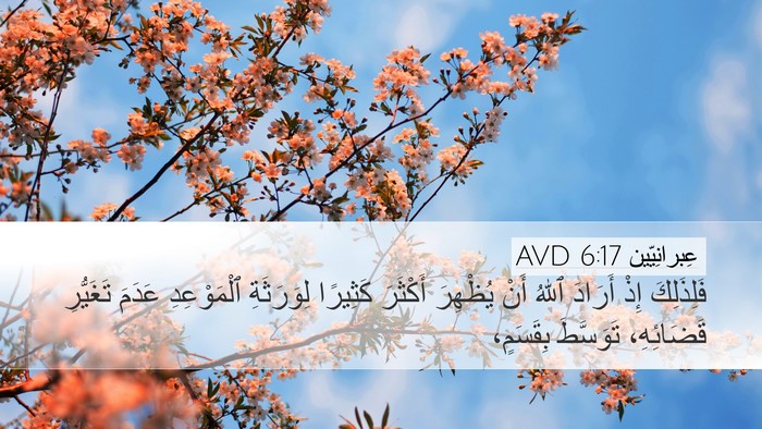 عِبرانِيّين 6:17 AVD Bible Verse Image