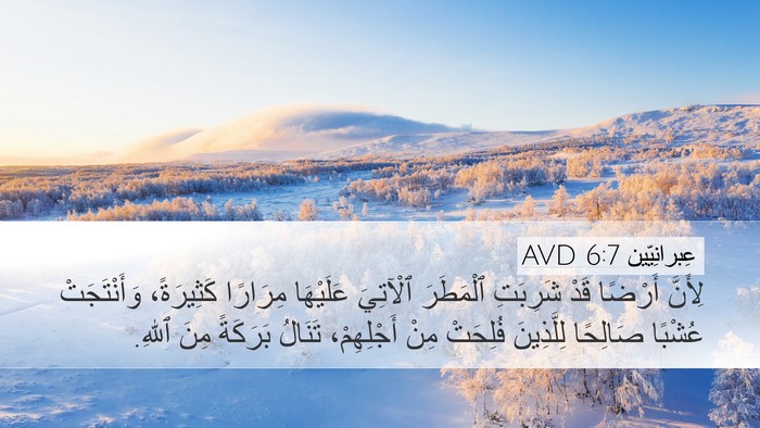 عِبرانِيّين 6:7 AVD Bible Verse Image