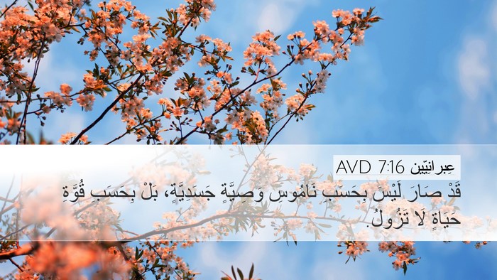 عِبرانِيّين 7:16 AVD Bible Verse Image