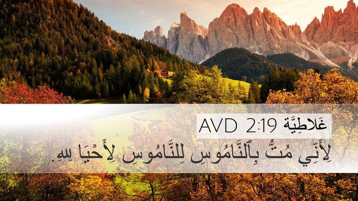غَلاطِيَّة 2:19 AVD Bible Verse Image