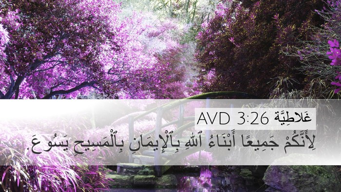 غَلاطِيَّة 3:26 AVD Bible Verse Image