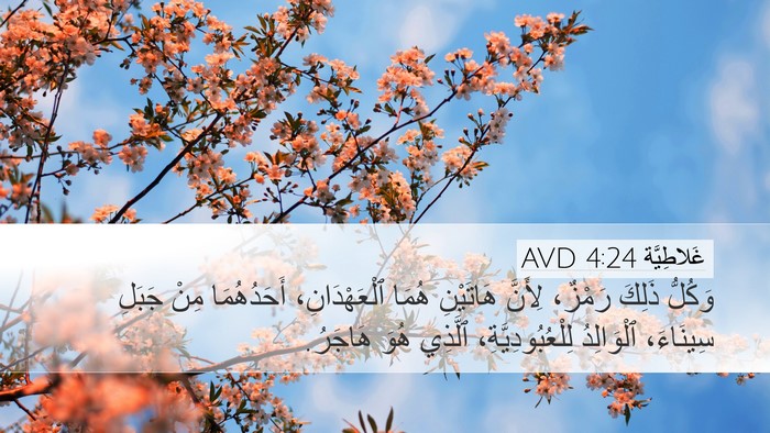 غَلاطِيَّة 4:24 AVD Bible Verse Image