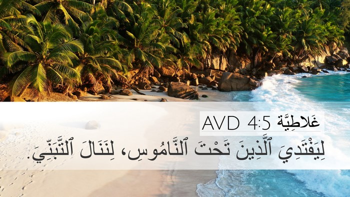 غَلاطِيَّة 4:5 AVD Bible Verse Image