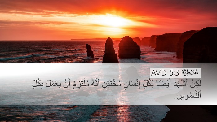 غَلاطِيَّة 5:3 AVD Desktop Wallpaper - لَكِنْ أَشْهَدُ أَيْضًا - Desktop Bible Verse Wallpaper