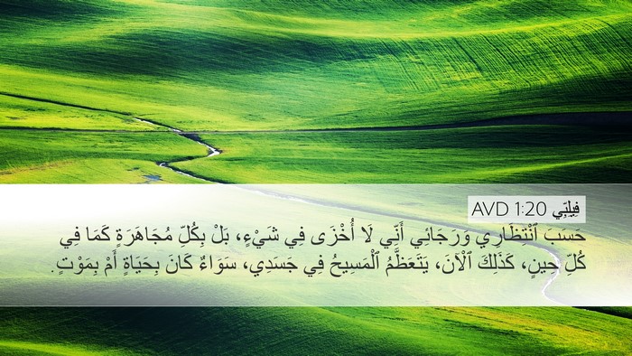فِيلِبِّي 1:20 AVD Bible Verse Image