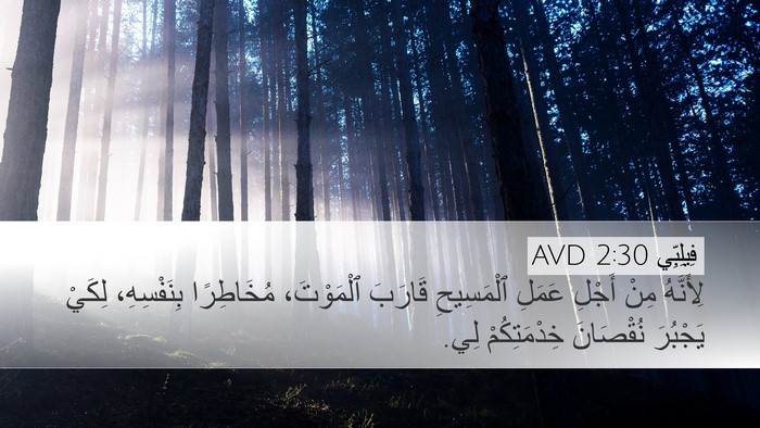 فِيلِبِّي 2:30 AVD Bible Verse Image