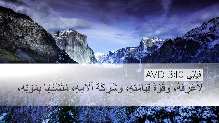فِيلِبِّي 3:10 AVD Bible Verse Image