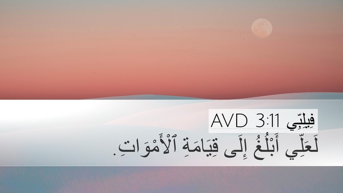 فِيلِبِّي 3:11 AVD Bible Verse Image