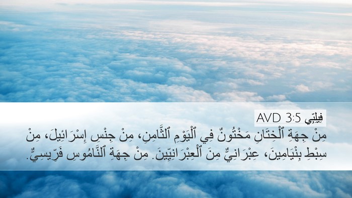 فِيلِبِّي 3:5 AVD Desktop Wallpaper - مِنْ جِهَةِ ٱلْخِتَانِ - Desktop Bible Verse Wallpaper