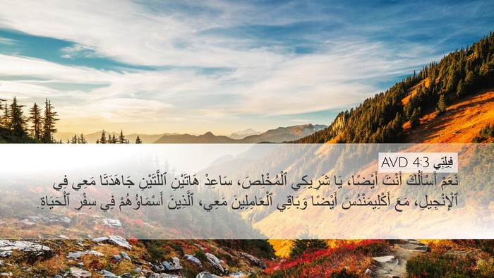 فِيلِبِّي 4:3 AVD Desktop Wallpaper - نَعَمْ أَسْأَلُكَ أَنْتَ - Desktop Bible Verse Wallpaper