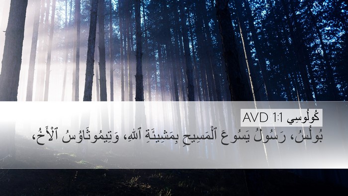 كُولُوسِي 1:1 AVD Bible Verse Image