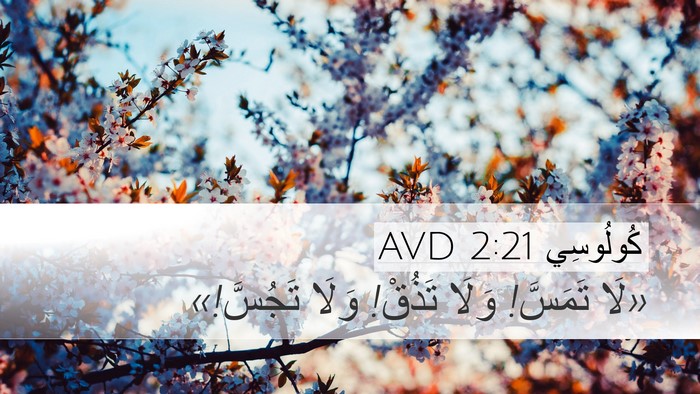 كُولُوسِي 2:21 AVD Bible Verse Image