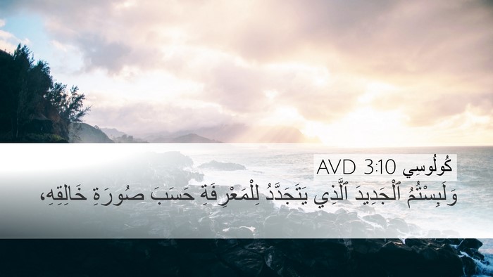 كُولُوسِي 3:10 AVD Bible Verse Image