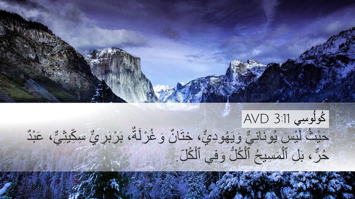 كُولُوسِي 3:11 AVD Bible Verse Image
