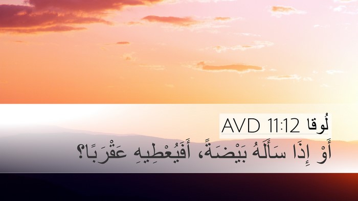 لُوقا 11:12 AVD Desktop Wallpaper - أَوْ إِذَا سَأَلَهُ - Desktop Bible Verse Wallpaper