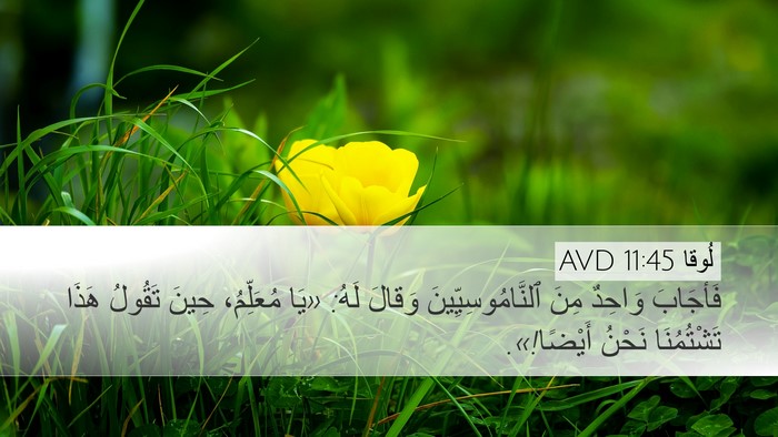 لُوقا 11:45 AVD Bible Verse Image