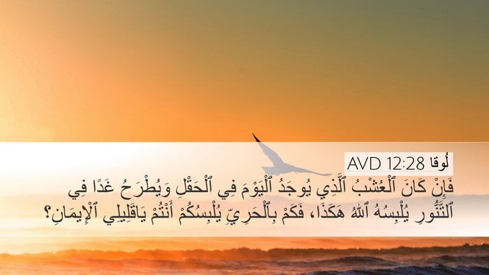لُوقا 12:28 AVD Bible Verse Image