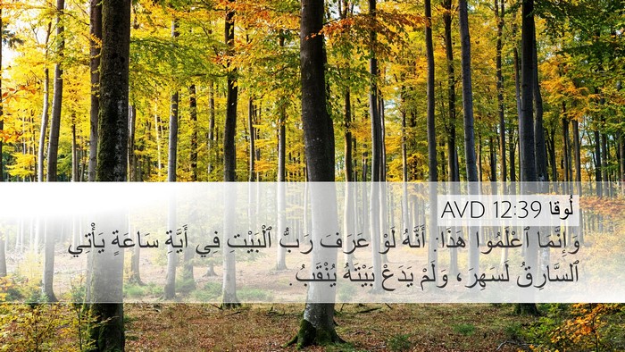 لُوقا 12:39 AVD Bible Verse Image