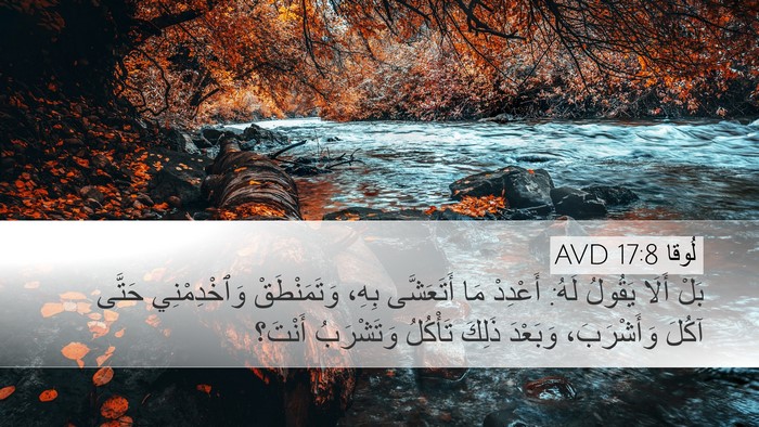 لُوقا 17:8 AVD Bible Verse Image