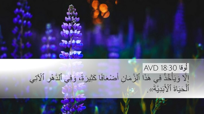 لُوقا 18:30 AVD Desktop Wallpaper - إِلَّا وَيَأْخُذُ فِي - Desktop Bible Verse Wallpaper