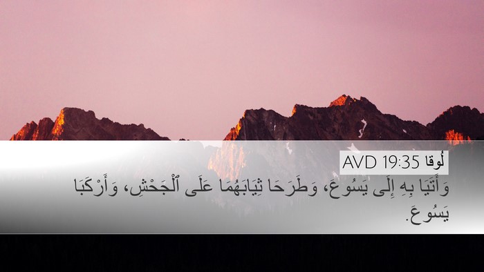 لُوقا 19:35 AVD Desktop Wallpaper - وَأَتَيَا بِهِ إِلَى - Desktop Bible Verse Wallpaper