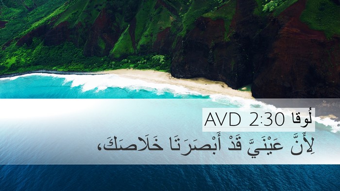 لُوقا 2:30 AVD Bible Verse Image