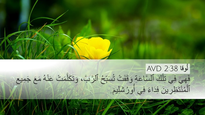 لُوقا 2:38 AVD Bible Verse Image