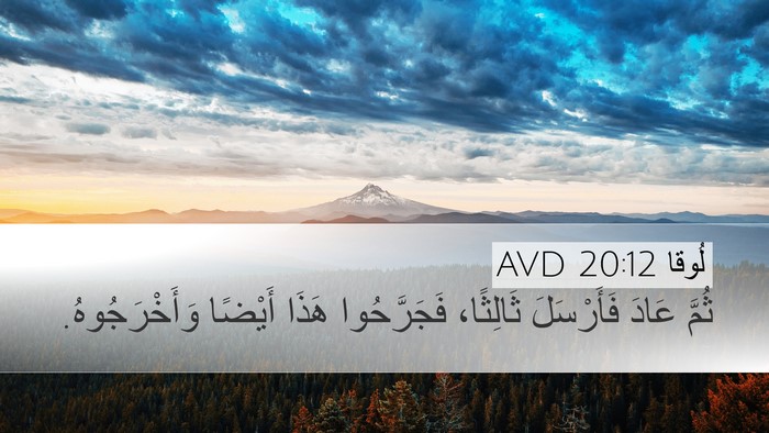 لُوقا 20:12 AVD Bible Verse Image