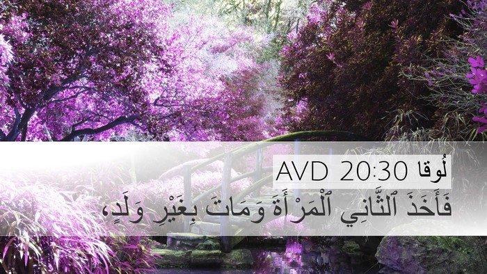 لُوقا 20:30 AVD Desktop Wallpaper - فَأَخَذَ ٱلثَّانِي - Desktop Bible Verse Wallpaper