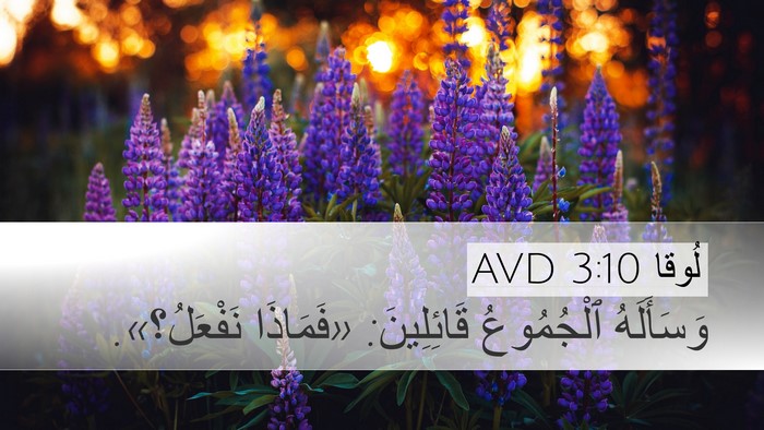 لُوقا 3:10 AVD Desktop Wallpaper - وَسَأَلَهُ ٱلْجُمُوعُ - Desktop Bible Verse Wallpaper